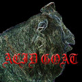 Acid Goat EP