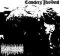Cemetery Resident (Demo)