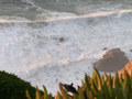 Nazare