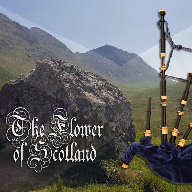 The Flower of Scotland