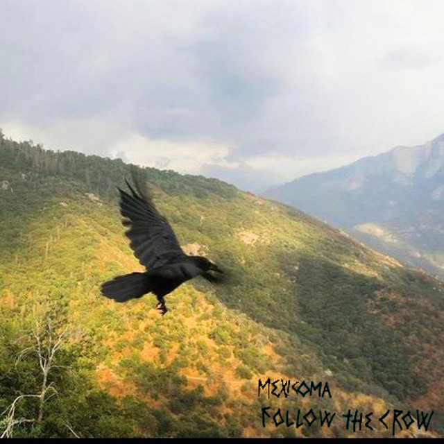 Follow The Crow