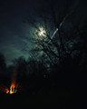 Photolyte (EP)