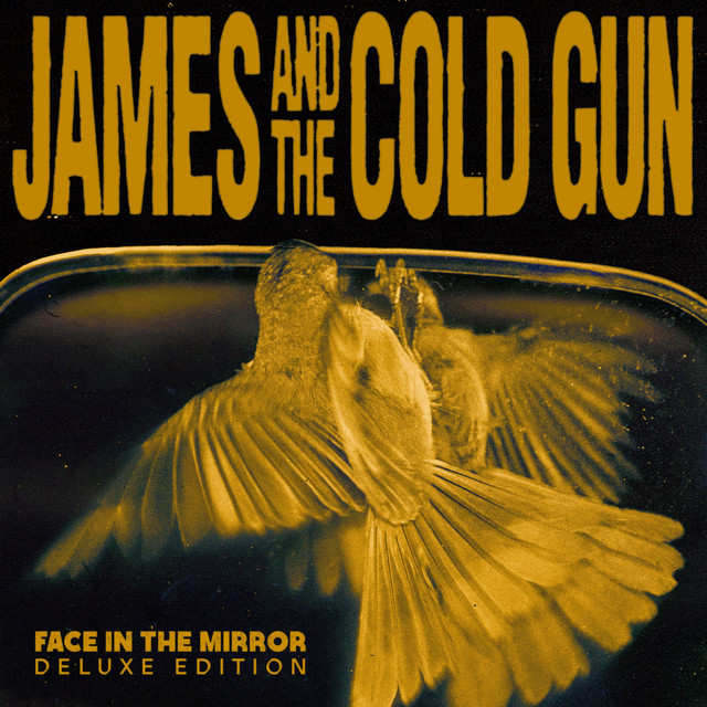 Face In The Mirror (Deluxe Edition)