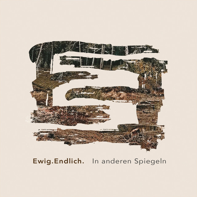 In anderen Spiegeln