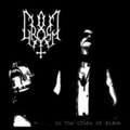 In the Glare of Black