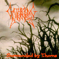 Surrounded by Thorns
