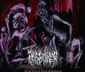 In the lair of lucid nightmares