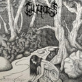 Suicide Tales