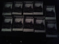 Extreme Coprophilia (DEMO)