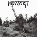 Mizoteist