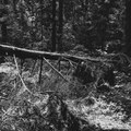 Ruined Demo