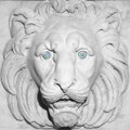 Of Splendour And Fear