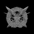 Womb of Worms