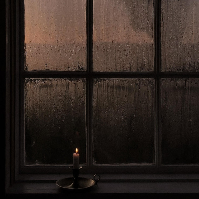 cozy solitude