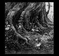 Hakumei to Mikochi