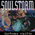 DARKNESS VISIBLE
