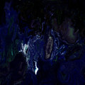 Restless Memories