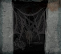 Occultus Tenebrae