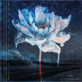 Где зима оставляет след (Where winter leaves its mark) (Single)