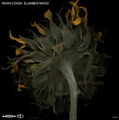 Slumber Wood
