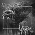 Tarfania/Zatrebil