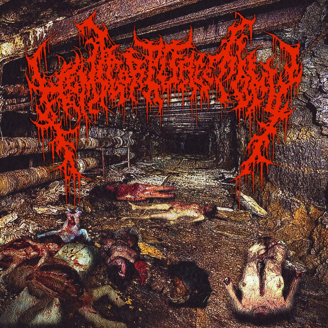 Mutilated Female Victims in a Sewer Basement after Being Raped and Rotting Embryos Washed Out of Drainpipes after Abortion
