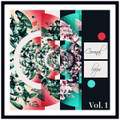 Coronal Loops Vol. 1