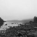Dark Current