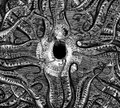 The Psilocybin Tapes