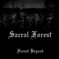 Forest Beyond