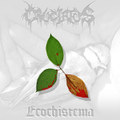 ECOchisTEMA