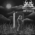 Life in Grave