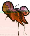 NOMADIIC EP