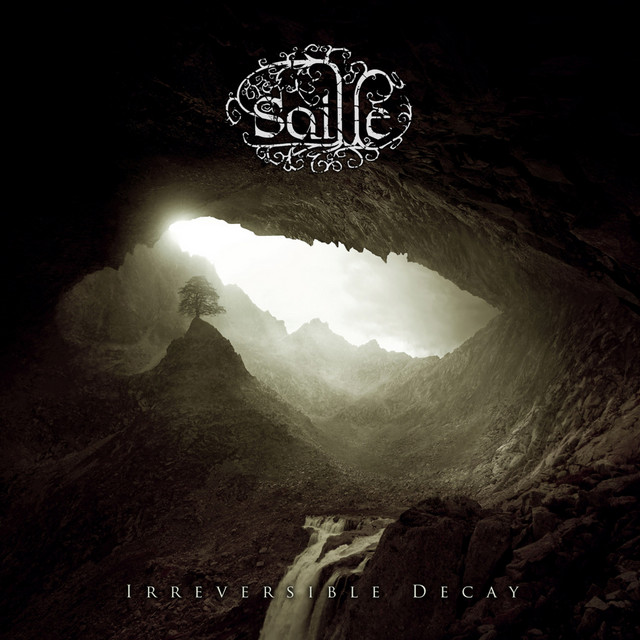 IRREVERSIBLE DECAY