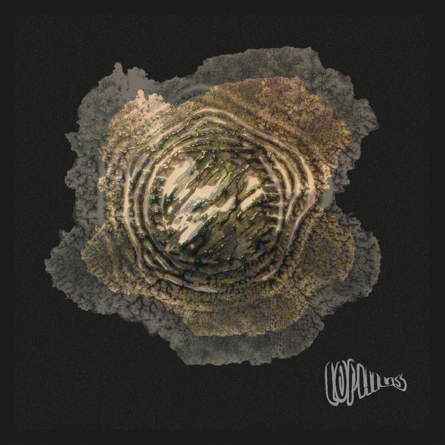 Lophius