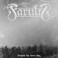 BENEATH THE POLAR SKY single