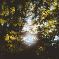 Lost From Sight and Memory (Slowed)
