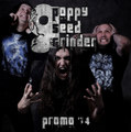 Promo CD 2014 /free download/