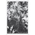 Musikecassette