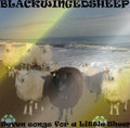 7 songs for a little sheep