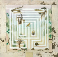 The Lost Forest