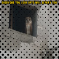 EVERYONE YOU LOOK UP TO WILL BETRAY YOU (MIX)