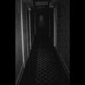 Demo II