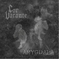 AMYGDALA