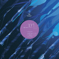 XY.1