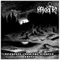 Wonderer From The Nightly Shore (LIVE DEMO)