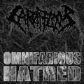 Omnifarious Hatred