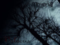 NorthZyklon(ex-Memorial) - Volucris