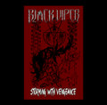 Storming With Vengeance Demo 2016