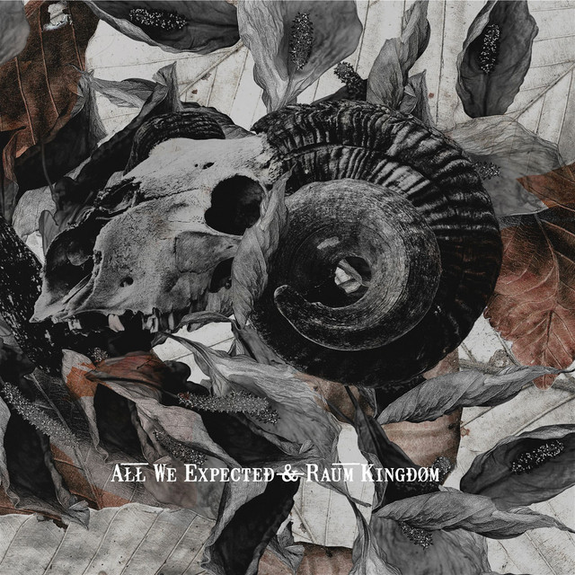 All We Expected & Raum Kingdom